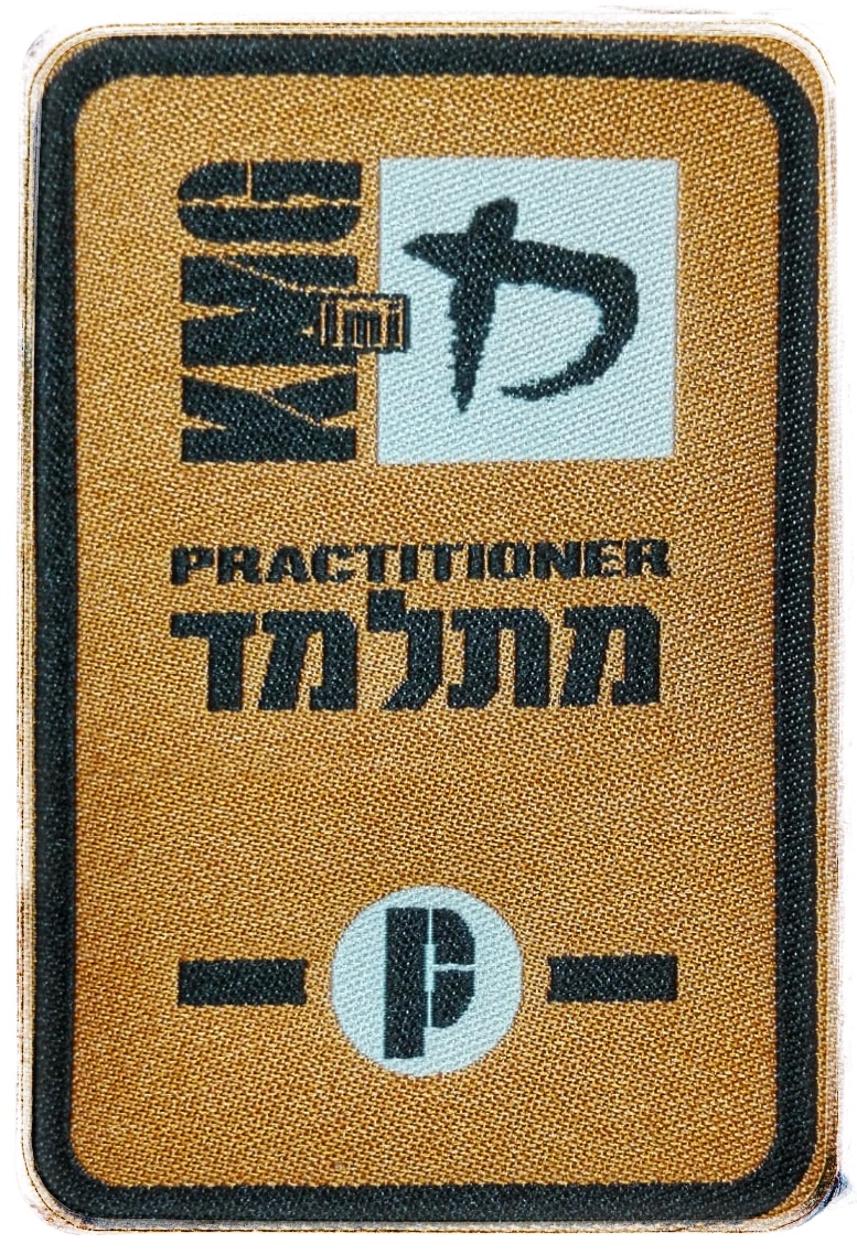 P1 patch